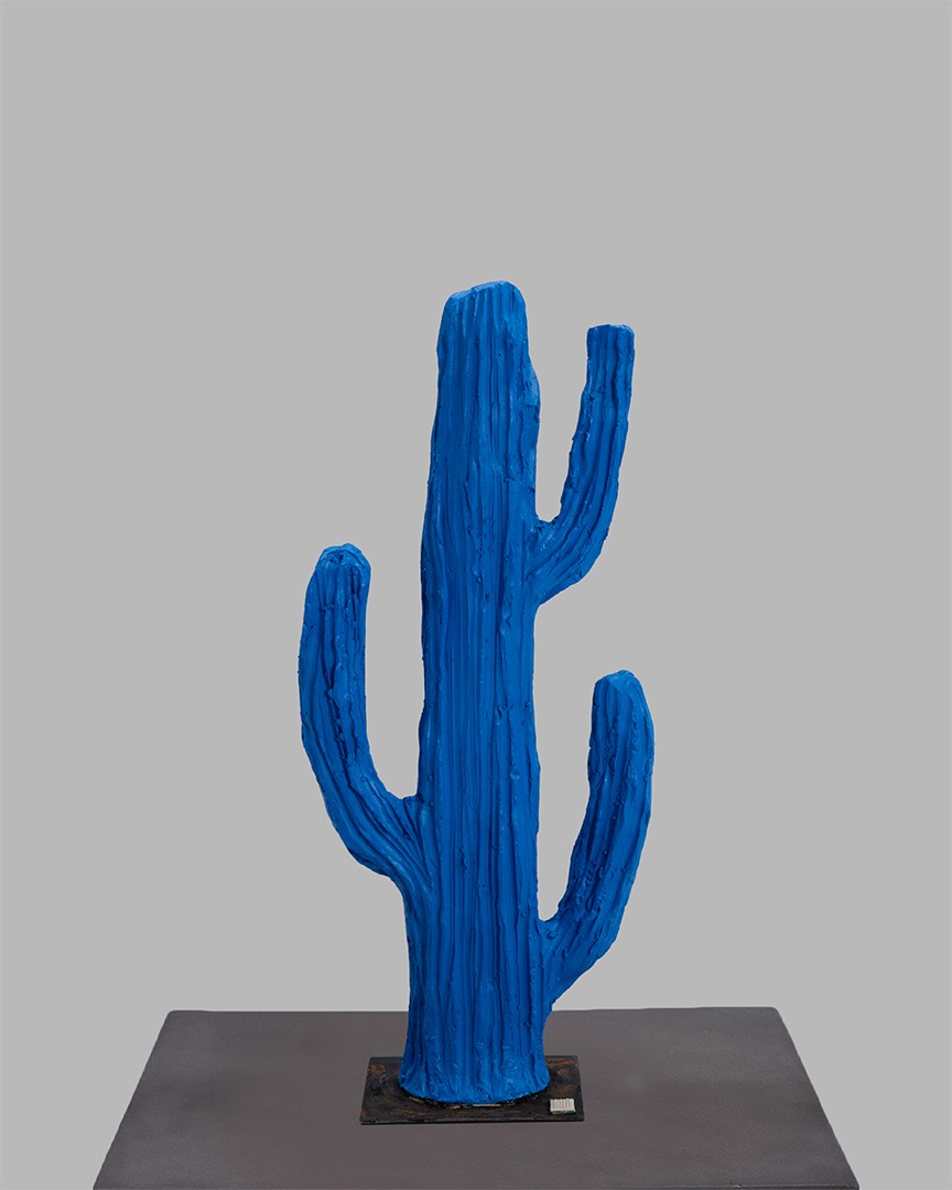 Story Of Life  | cactus mediu | albastru |