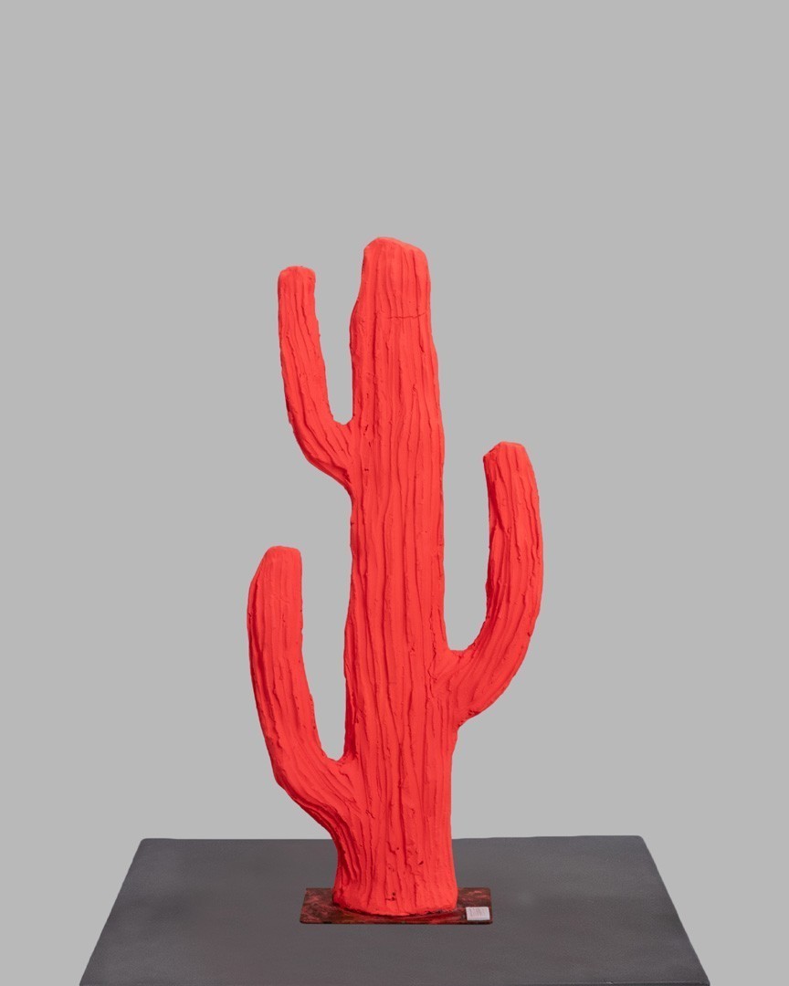 Story Of Life  | cactus mediu | corai neon |
