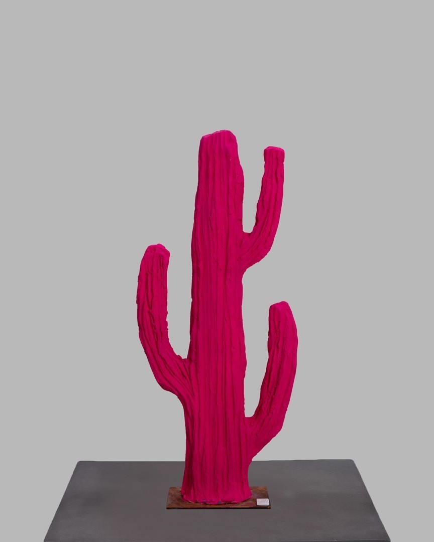 Story Of Life  | cactus mediu | fuchsia neon |