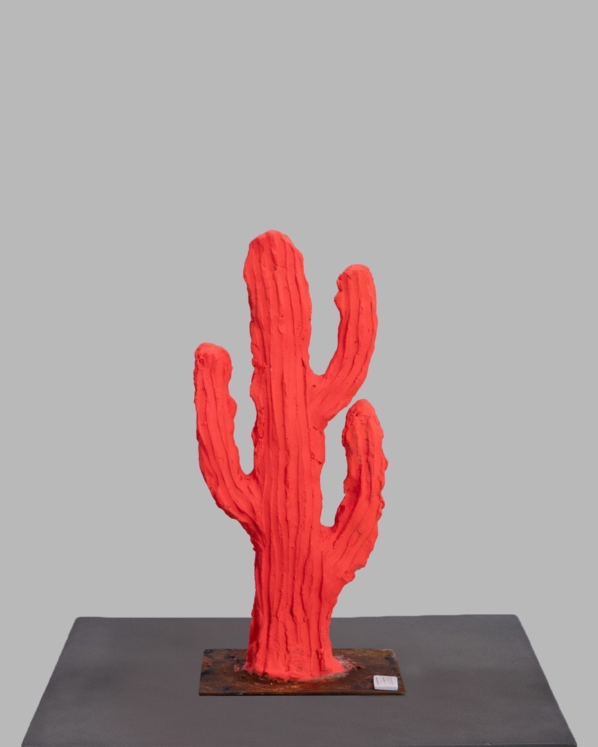 Story Of Life  | cactus mic | corai neon |