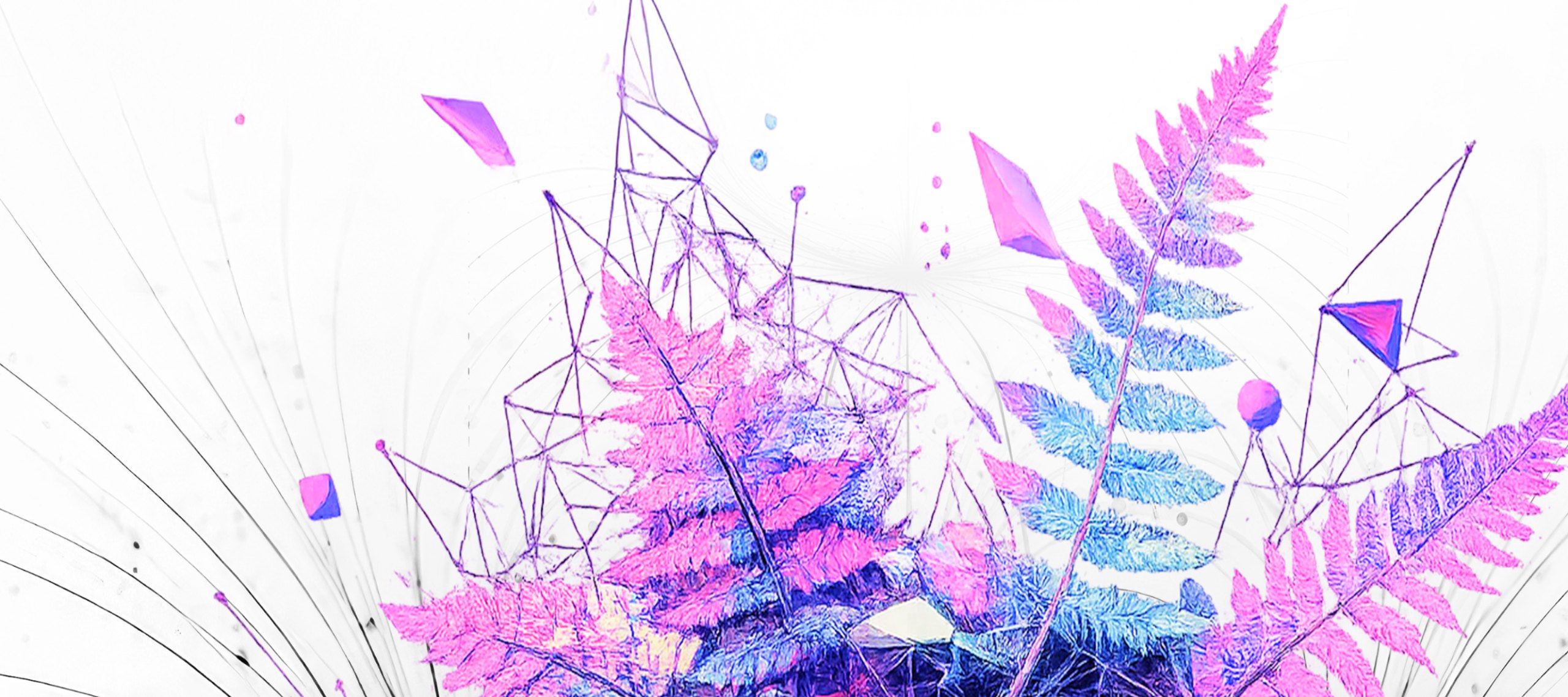 Organic Fields